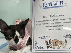 -达爱动物医院·犬猫分区·CT·复杂眼科(远洋山水分院)