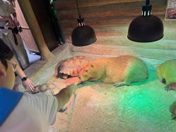 -Zoolung Zoolung动物主题公园(海信广场店)