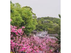 -狐尾山公园