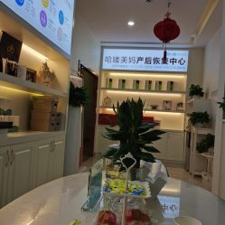 -哈喽美妈产后恢复中心(乐堤港店)