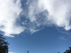 -鲁山国家森林公园