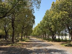 -百翠山居.家飨餐厅