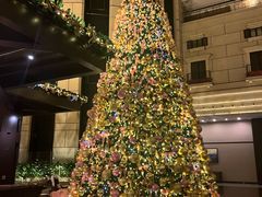 -上海锦江汤臣洲际大酒店壹阶层