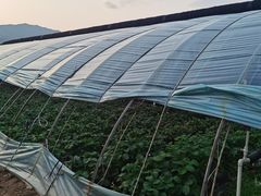 -大自然农场蔬菜草莓采摘园