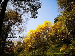 -广州市白云山风景名胜区