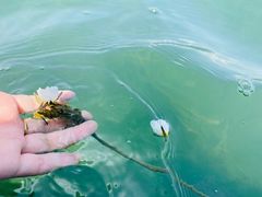 -丽江泸沽湖景区