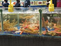 水产区-蚝得喜海鲜(东城店)