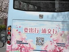 -高东镇樱花园
