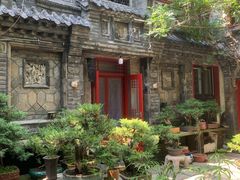 -老张烤羊(王哥庄店)