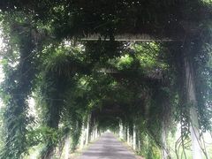 景点-荷花荡