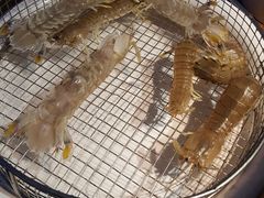 -海味当家·蒸锅海鲜(星海公园店)