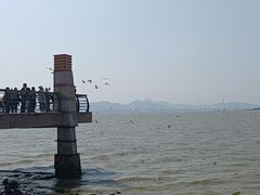-深圳湾公园(南山区)