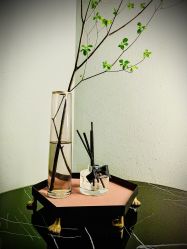 -花隐·美芙炫海菲秀皮肤管理中心