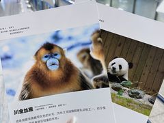 -取水楼(地铁站)