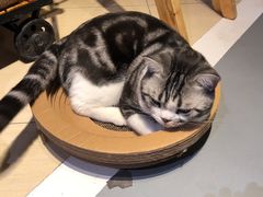 -小时光咖啡馆(开森度假森林店)