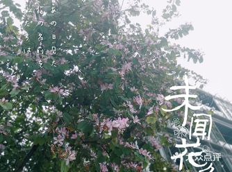 一转眼漫威电影系列也有10年了啊，基本上都看过了吧
