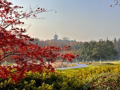 -宜兴龙背山森林公园