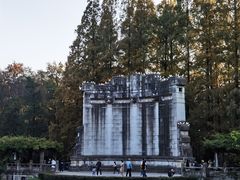 -音乐台