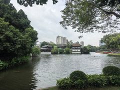-荔湾湖公园