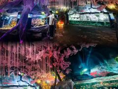 -威海华夏城景区