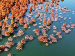 -梅州天地人花园酒店(梅县人民广场店)