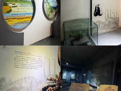 -中国西峡恐龙遗迹园
