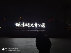 -枫香湖儿童公园