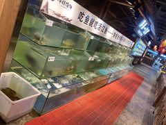 水产区-胖姐渔村(中源大道店)