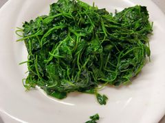 酒香金花菜-协和菜馆(凤凰街店)