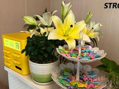 -强手盲人推拿·颈肩腰背调理(南新路店)