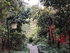 -梦姑塘文化公园