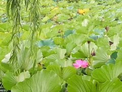 -云龙湖旅游景区