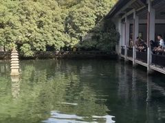 -杭州植物园