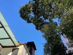 -魏铭鱼头捞饭(晋阳路店)