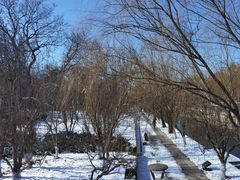 -元大都城垣遗址公园