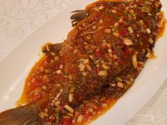 武昌鱼-亢龙太子酒轩(东湖店)