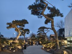 -罗红摄影艺术馆