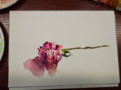 -八哥美术·成人美术画室(总校区)