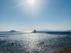 -来之顺海鲜菜馆·青岛菜·始于1993(栈桥店)