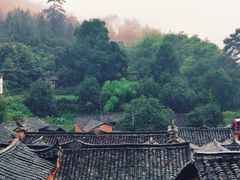 -杨家堂村