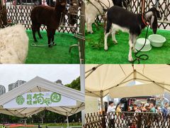 -上海港国际客运中心