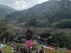 -广东天露山旅游度假区