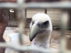 -昆明动物园