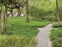 -徐家汇源景区-衡山公园