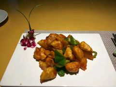 -素虎小呆鸟(西二旗店)