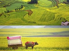 -彩色沙林风景区