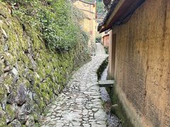 -杨家堂村