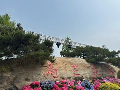 -荷兰花海
