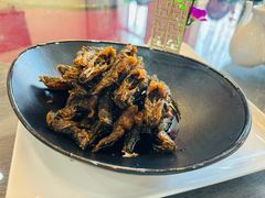 -新聚丰菜馆(太监弄店)