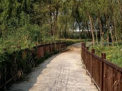 -永定河休闲森林公园